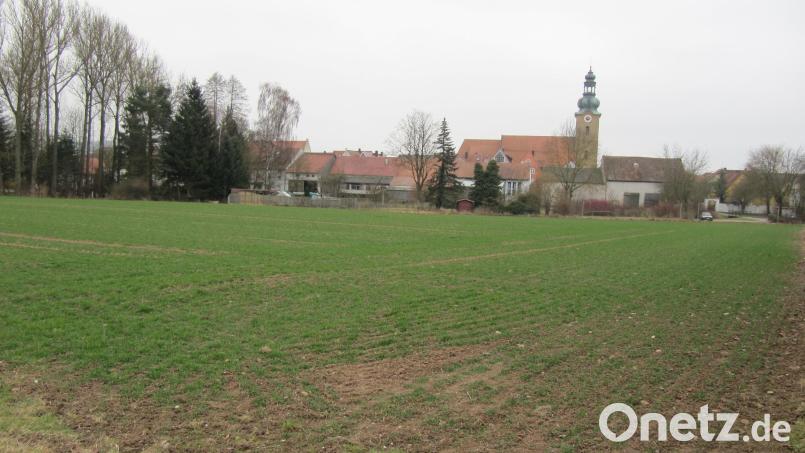 Ein Filetstück in Innenstadtnähe stellen die 1,9 Hektar dar, auf denen in Hirschau das Baugebiet „An der Walkstraße“ entwickelt werden soll. Bild: fg