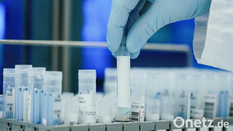 Ein Mitarbeiter hält in einem Coronatest-Labor PCR-Teströhrchen in den Händen. Innerhalb einer Woche gab es im Landkreis Tirschenreuth 1020 positive Coronatests. Symbolbild: Uwe Anspach/dpa