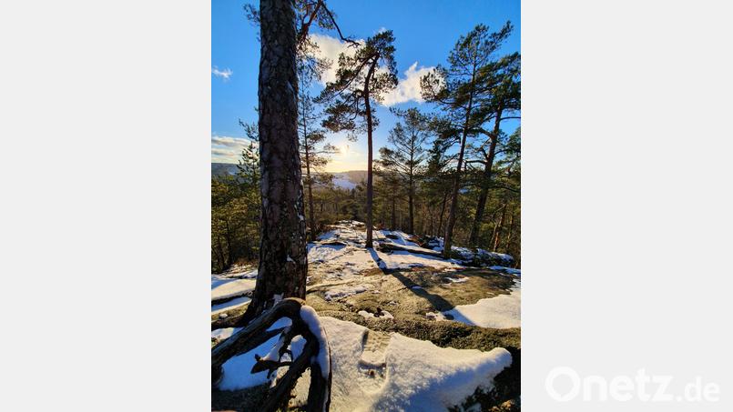 Steinwaldidylle Bild: ak