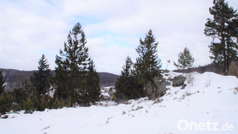 Selbstwerbern werden 19 Bäume am Hochfels per Los zugeteilt. Bild: mmj