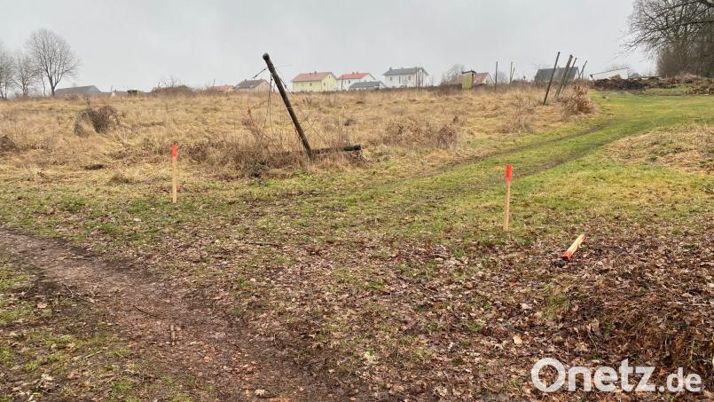 Auf diesem Hang, der sich zwischen Neusather Straße (Bebauung im Hintergrund) und Kurmhofbach erstreckt, liegt das neue Perschener Baugebiet. Bild: Wilhelm Amann