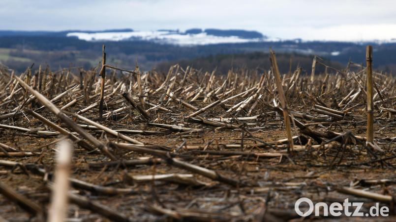 Wetter Januar 2022 Bild: Gabi Schönberger