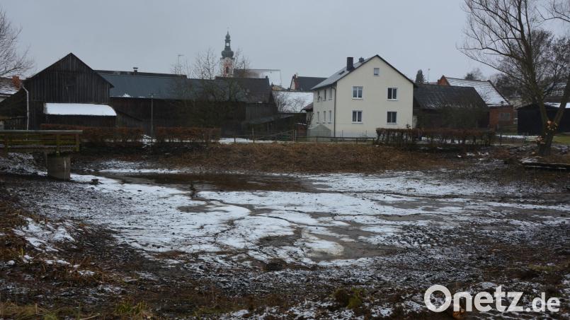 Entschlammt werden soll der Dorfteich in unmittelbarer Nahe des Raiffeisenareals. Bild: jr