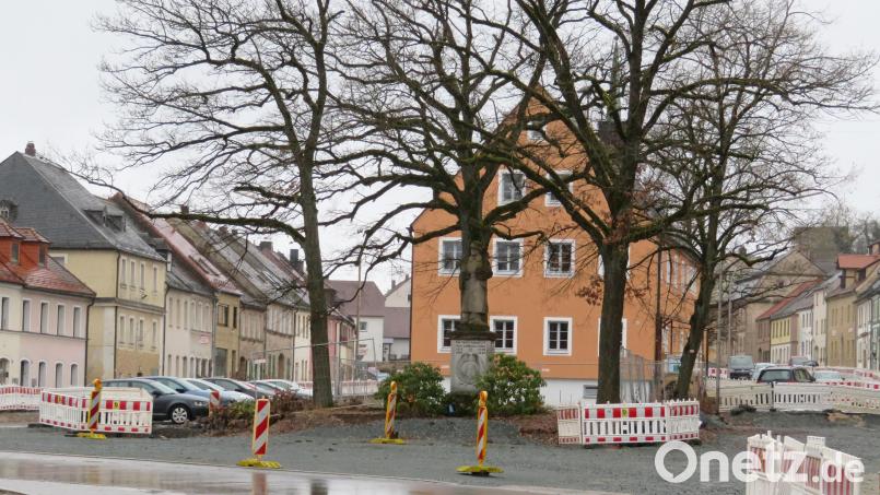 Einigen Anwohnern gefallen die mächtigen Eichen links und rechts des Kriegerdenkmals nicht und schlugen deshalb vor, diese durch neu gepflanzte Bäume zu ersetzen. Die Eichen wurden in den Dreißigerjahren des letzten Jahrhunderts gepflanzt und erhielten die Namen Hitler- beziehungsweise Hindenburgeiche. Bei der Abstimmung in der Sporthalle empfahl die Mehrheit der Bürger dem Stadtrat, diese alten Bäume zu schützen. Bild: ow