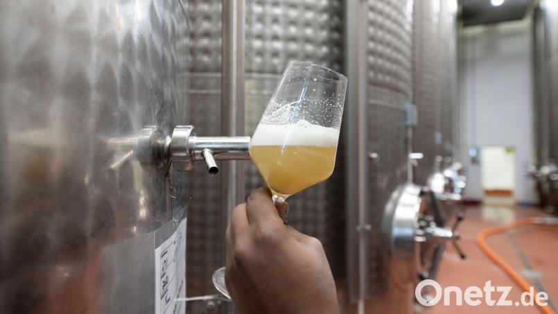 Probieren ausdrücklich erlaubt: Beim Online-Biertasting mit Johannes Sauer, der aus Neustadt/WN stammt, gibt es viel Wissenswertes über das flüssige Gold und jede Menge Kostproben. Symbolbild: Marijan Murat/dpa