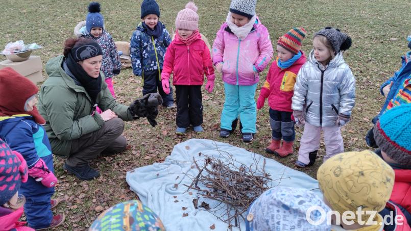 Biberbesuch im Kindergarten Hl.-Geist Neuhaus. Die Kinder erfahren alles über den Biber Bild: Andrea Heuser/exb