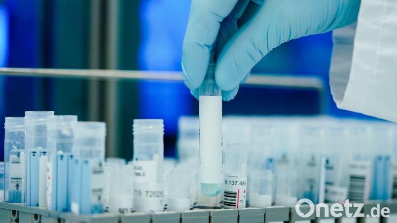 Ein Mitarbeiter in einem Coronatest-Labor mit PCR-Teströhrchen. Symbolbild: Uwe Anspach/dpa