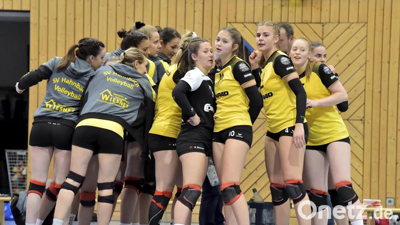 Die Volleyballerinnen des SV Hahnbach müssen sich gedulden. Ihr Spiel am Samstag in Regenstauf wurde abgesagt. Archivbild: Hubert Ziegler