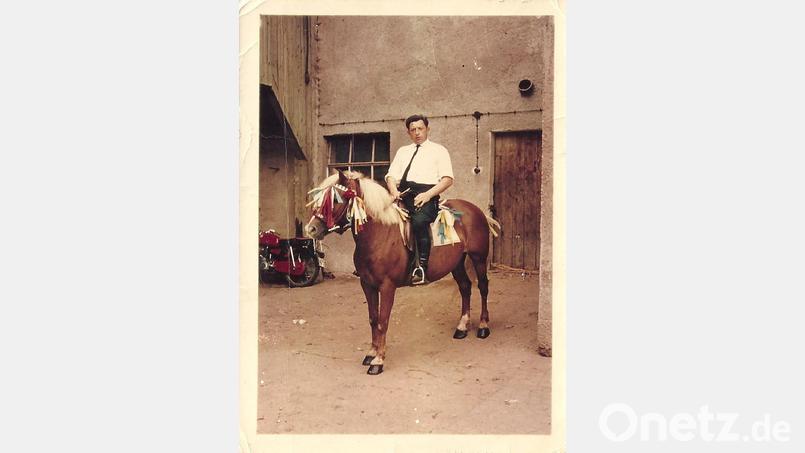 Weibl war Alois Bierners erste Haflingerstute. Archivbild: Familie Bierner/exb