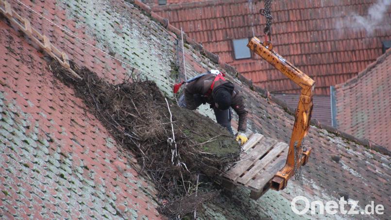In mehreren Fuhren musste das verrottete Nistmaterial der letzten 15 Jahre mit Hilfe einer Palette und der Palettengabel abtransportiert werden. Bild: bod