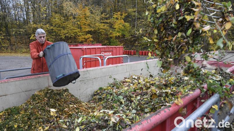 Bis Mitte November sammelt der Landkreis Äste, Laub, Sträucher und Rasenschnitt. Die Container heuer schon ab 23. Februar im Landkreis parat. In der Stadt Weiden erst ab 1. März Archivbild: Petra Hartl
