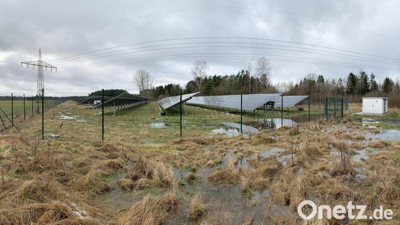Neben der bestehenden Photovoltaikanlage nördlich von Neunkirchen (gegenüber Gewerbegebiet Weiden West III) sollen weitere Anlagen entstehen. Der Bauausschuss billigte die Aufstellung des Bebauungsplans sowie die Änderung des Flächennutzungsplans. Bild: Gabi Schönberger