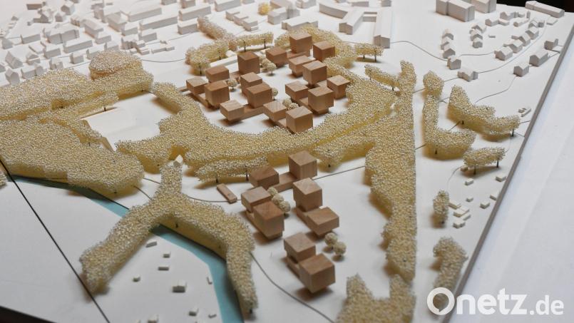 So sieht das Modell aus, das auf dem TB-Areal am Hammerweg umgesetzt werden soll. Schon bald könnte die Stadt ihren Investor präsentieren. Archivbild: Gabi Schönberger