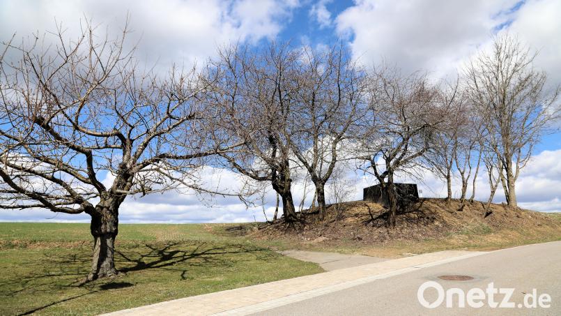 Die Öffnung des alten Wasserreservs für das &quot;innere Dorf von Gleiritsch&quot; am Seeberg ist heute noch sichtbar und erinnert eher an einen alten Bunker als an ein Bauteil einer Wasserversorgung. Bild: akp