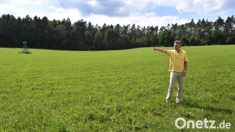 Michael Grob wollte das Neubaugebiet in Theuern verhindern. Der Petitionsausschuss befasste sich am Mittwoch mit dem Thema. Bild: Petra Hartl