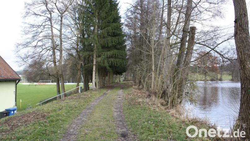 Die wasserseitige Böschung ist infolge Erosion zu steil, Baumwurzeln könnten die Stabilität beeinträchtigen: Auch im Hinblick auf befürchtete häufigere Hochwassersituationen will die Gemeinde den Damm des 131 Jahre alten Heindlweihers befestigen. Bild: bjp
