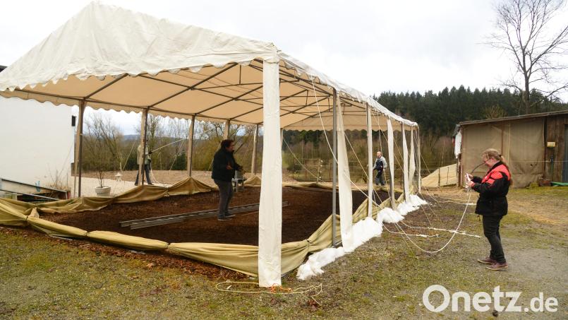 Inez Dreyer (unterm Reitzelt) und Patricia Beckmann (rechts) trafen die Vorbereitungen für den Abbau des zwölf auf sechs Meter großen Zeltdaches. Bild: bey
