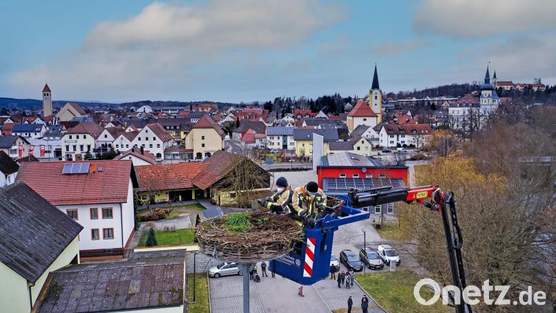 Feuerwehr und THW sorgen Hand in Hand für saubere Storchenwohnung. Bild: Mario Bernhardt/exb