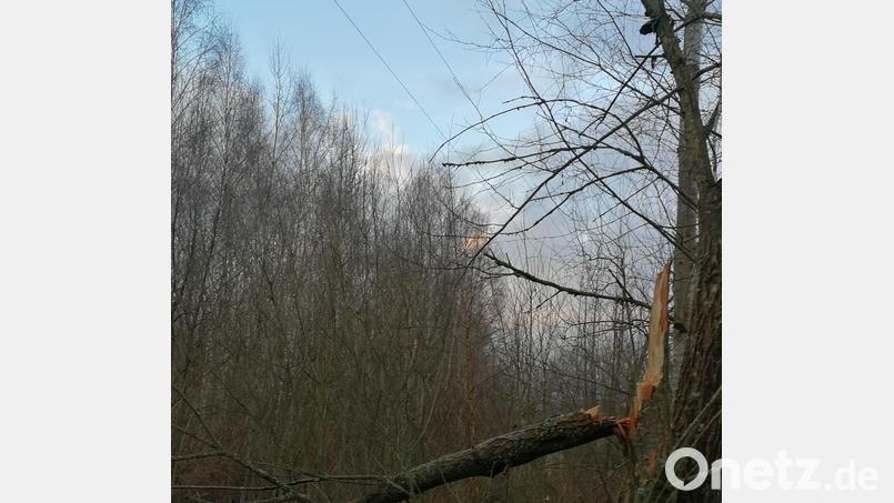 Ein abgebrochener Ast sorgte am Dienstagnachmittag im Gemeindebereich Plößberg und Bärnau für eineinhalb Stunden für einen Stromausfall. Bild: Andreas Simon/exb