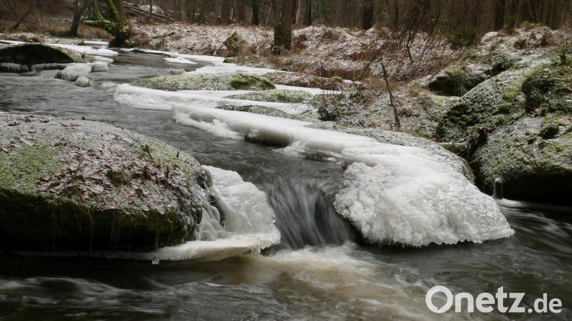 Wald- und Wasserwelten gibt es im Landkreis zu jeder Jahreszeit zu entdecken, zum Beispiel im Waldnaabtal. Archivbild: tr