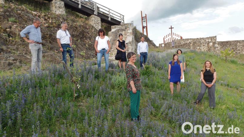 Zusammen mit Landrat Roland Grillmeier (zweiter von links) unternahm eine Gruppe aus Kräuter-, Wald- und Wildnisexperten, darunter auch Elisabeth Zintl (ganz rechts) bei den 3. Waldecker Wilden Tagen eine Wanderung entlang des Essbaren Wildpflanzenparks Waldeck. Bild: br