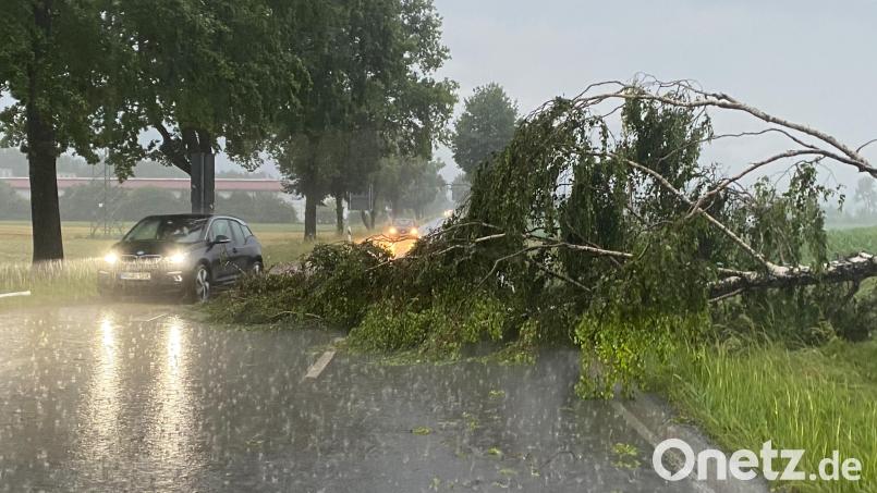 Überwiegend umgestürzte Bäume mussten die Feuerwehren am Donnerstag beseitigen. Zu größeren Verkehrsbehinderungen kam es nicht. . Symbolbild: Bernd März/dpa