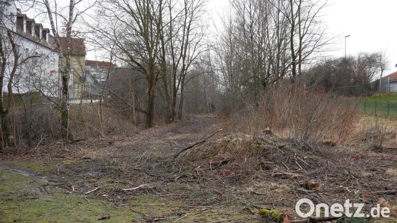 Am Bahndamm zwischen Liststraße und Mitterteicher Straße sind in den vergangenen Tagen kleinere Bäume, Büsche und Sträucher beseitigt worden. Bild: hmr