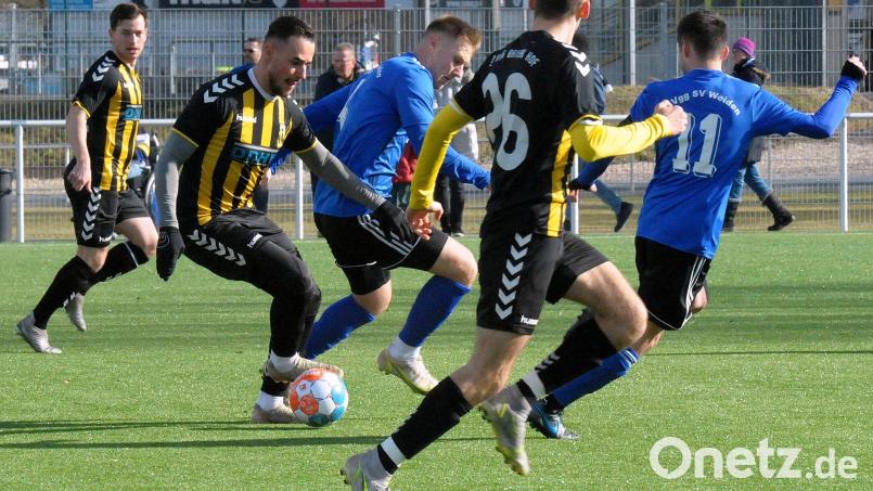 Einen schweren Stand hatte die SpVgg SV Weiden (blaue Trikots) gegen den Bayernligisten SpVgg Bayern Hof. Der Tabellenführer der Landesliga Mitte unterlag mit 1:5. Bild: Werner Franken
