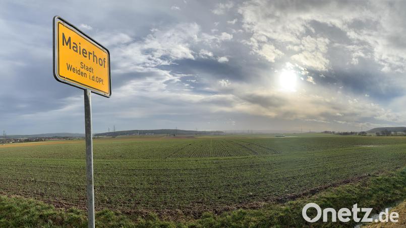 Gewerbeflächen im Außenbereich sind schwer zu finden. Zu den einstmals von den Planern genannten Alternativen zählten zum Beispiel die Flächen südlich von Maierhof bis Etzenricht. Ob auch die Stadt sie in ihrem neuen Entwicklungskonzept berücksichtigt bleibt abzuwarten. Bild: Gabi Schönberger