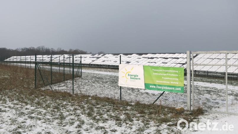 Dem VlF-Vorsitzenden Florian Märkl schwebt eine zweifache Nutzung von Solarparks vor. Bei einer Ständerbauweise ließe sich Strom erzeugen und die Fläche gleichzeitig landwirtschaftlich nutzen. Archivbild: Hirsch