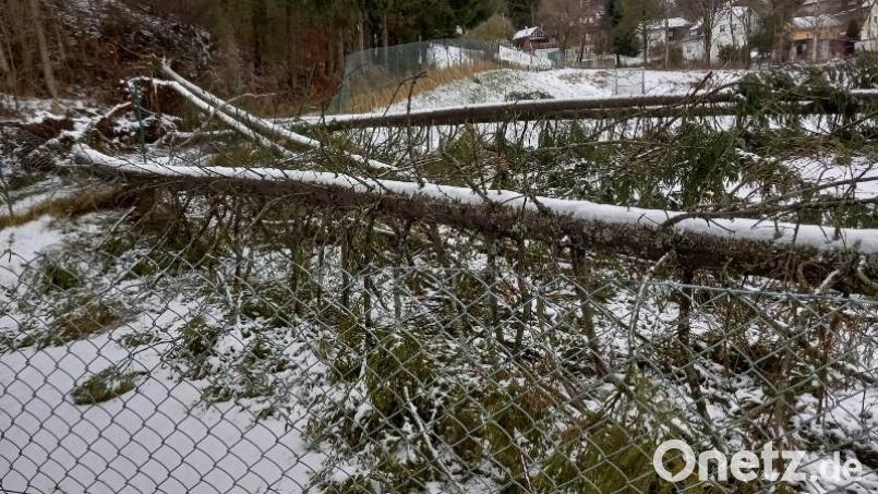 Der Sportplatz der DJK Ebnath wurde durch den Sturm in Mitleidenschaft gezogen. Bild: soj