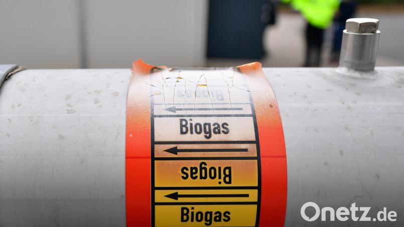 Der Anteil der Biomasse am Gesamtstromverbrauch im Landkreis Tirschenreuth liegt laut Energieatlas Bayern bei 38 Prozent. Symbolbild: Martin Schutt/dpa