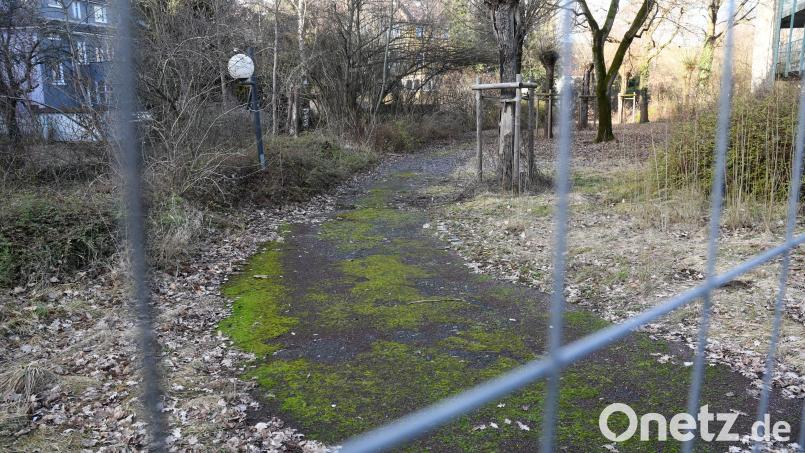Für die Neugestaltung der Grünfläche hinter dem Parkdeck Naabwiesen einschließlich ehemaliges Lohmer-Grundstück gibt es Pläne. So soll der Weg künftig weiter links entlang des Stadtmühlbachs verlaufen. Im hinteren Bereich sind attraktive Sitzgelegenheiten und Aktionsflächen vorgesehen. Bild: Gabi Schönberger