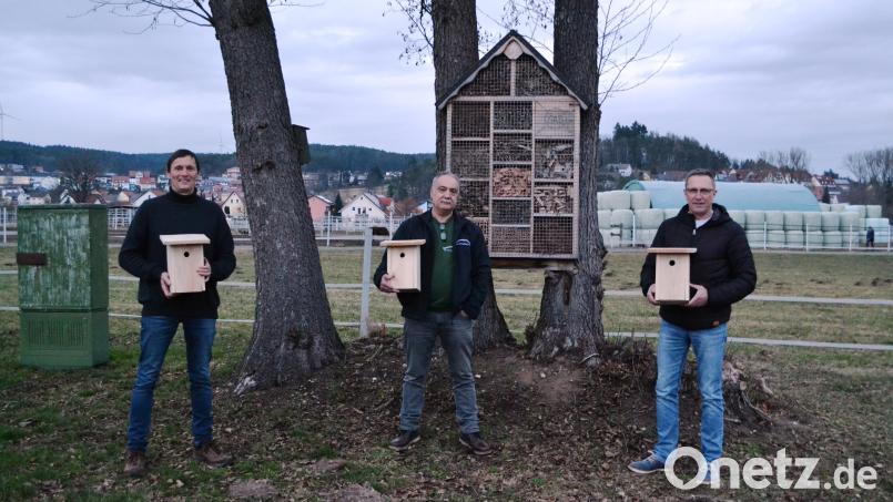 Zeno Bäumler, Hans Bauderer und Markus Schwarzbauer (von links) trafen sich zur Übergabe der Nistkästen. Bild: Thorsten Horn/exb