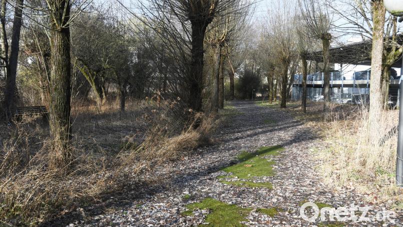Die Grünanlage hinter dem Parkdeck Naabwiesen samt ehemaligem &quot;Lohmer&quot;-Anwesen soll neu gestaltet werden. Bild: Gabi Schönberger