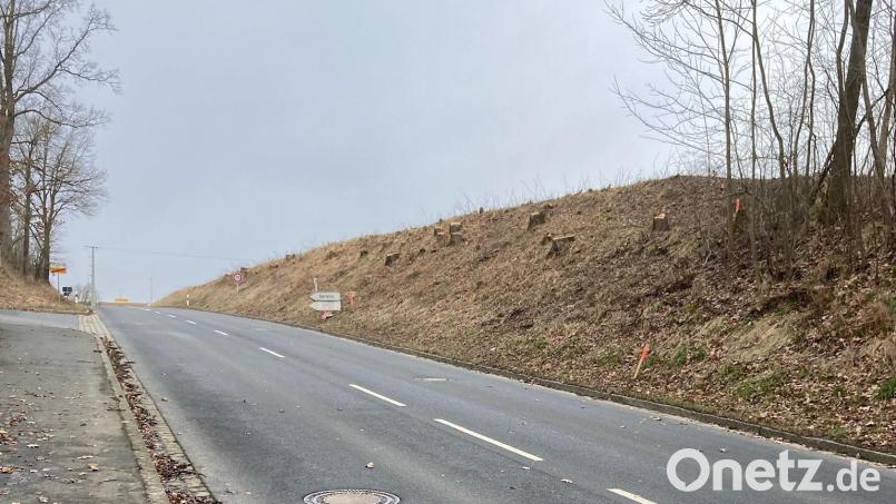 Mit der Rodung von einigen Bäumen sind die ersten Vorarbeiten für den Bau des Rad- und Gehwegs von Schlicht zum Neubaugebiet Weidenstock angelaufen. Sobald die Förderzusage der Regierung vorliegt, erfolgt die Ausschreibung und geht der Auftrag an eine Baufirma. Bild: e