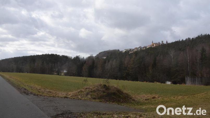 Am Fuße des Leuchtenbergs liegt das Baugebiet Ringelbrunnen II. Kommt es zu einer Einigung, kann dort gebaut werden. Bild: fz