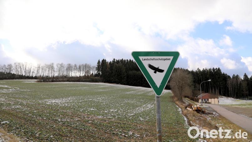 Das Landschaftsschutzgebiet zwischen Gleiritsch und Schömersdorf verhindert die geplante Freiflächen-Photovoltaikanlage am Fuße des Katzensteins. Bild: akp