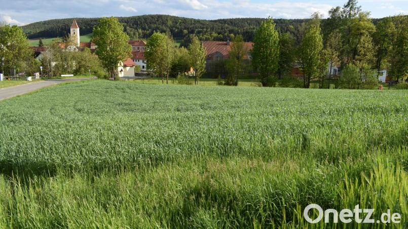 Das Genehmigungsverfahren für das Baugebiet &quot;Wiegenäcker &quot; ist abgeschlossen. Jetzt sind die künftigen Bauherrn am Zuge. Bild: bnr