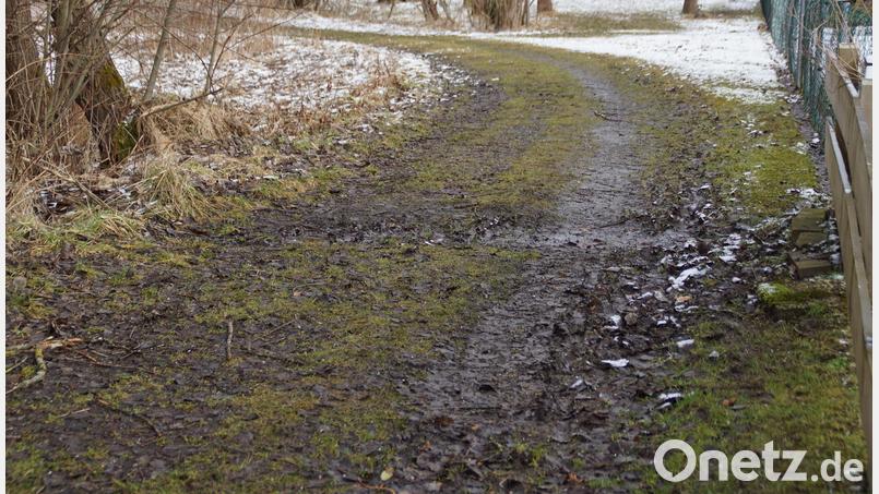 Reparaturbedürftig: Der oft matschige Weg ab Kurpark stadtauswärts. Bild: Portner