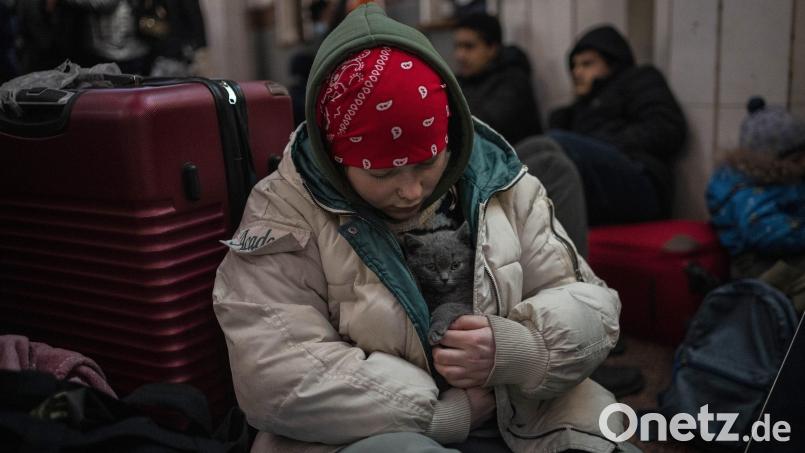 Hunderttausende Menschen suchen Zuflucht vor dem Krieg. Ein ukrainisches Mädchen streichelt im Bahnhof ihre Katze, die sie in ihrem Mantel schützt. Bild: Bernat Armangue/dpa