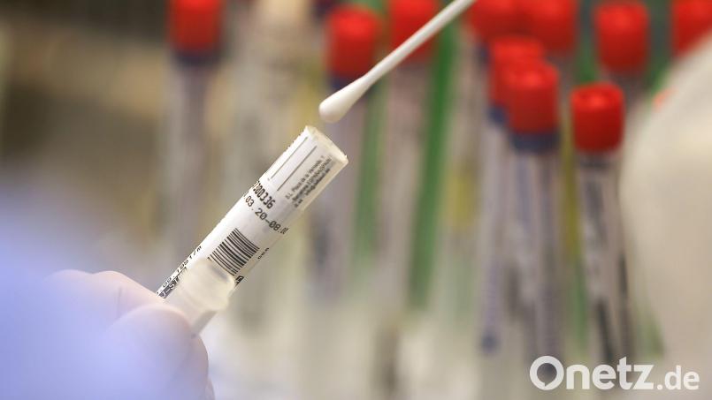 Die Zahl der Neuinfektionen mit Covid-19 in Weiden und im Landkreis Neustadt steigt. Symbolbild: Oliver Berg/dpa