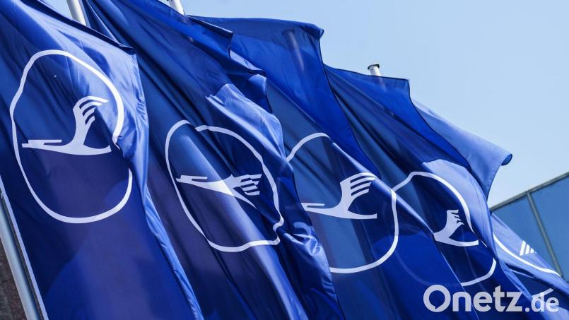 Die Lufthansa prüft eine neue Airline. Bild: Andreas Arnold/dpa