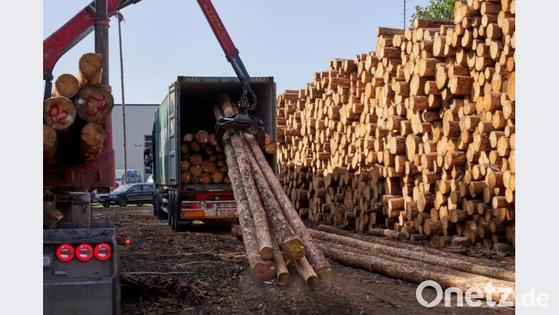 Die Preise für Holz sind im vergangenen Jahr deutlich gestiegen - besonders für Fichten. Bild: Thomas Frey/dpa