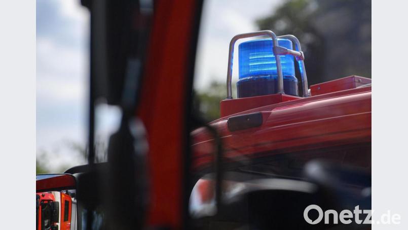 Ein Blaulicht leuchtet auf dem Dach eines Einsatzfahrzeugs der Feuerwehr. Bild: Robert Michael/dpa-Zentralbild/ZB/Symbolbild