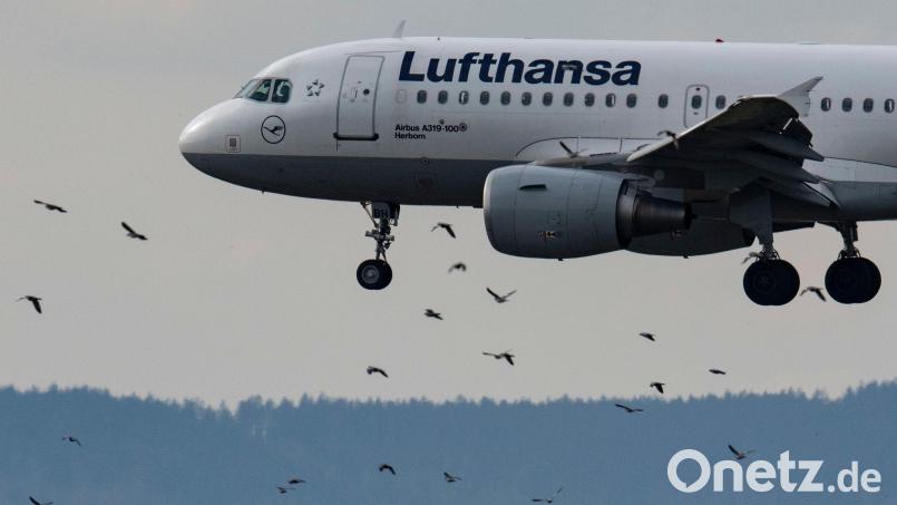 Eine Passagiermaschine der Lufthansa vom Typ Airbus A319-100 landet auf dem Flughafen in Frankfurt. Bild: Boris Roessler/dpa