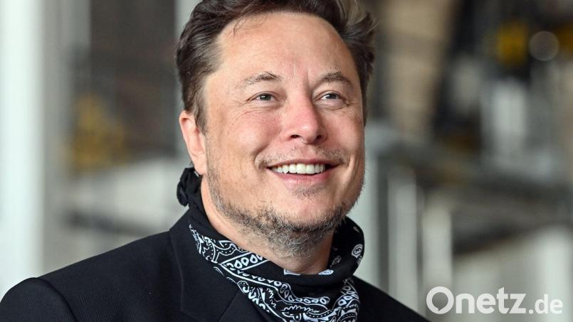 Tesla-Chef Elon Musk hat sich via Twitter für die Genehmigung der Tesla-Fabrik in Brandenburg bedankt. Bild: Patrick Pleul/dpa-Zentralbild/dpa