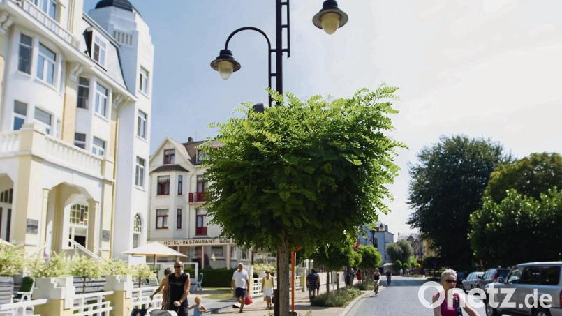 Das Villenviertel wurde Anfang des 20. Jahrhunderts vom Aachener Architekten Josef Stübben entworfen. Bild:  Westtoer/dpa