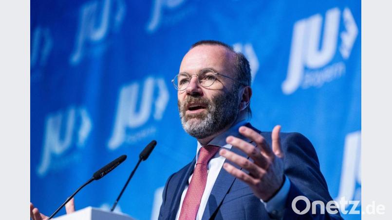 Manfred Weber (CSU) spricht bei einer Landesversammlung der Jungen Union Bayern. Bild: Armin Weigel/dpa/Archivbild