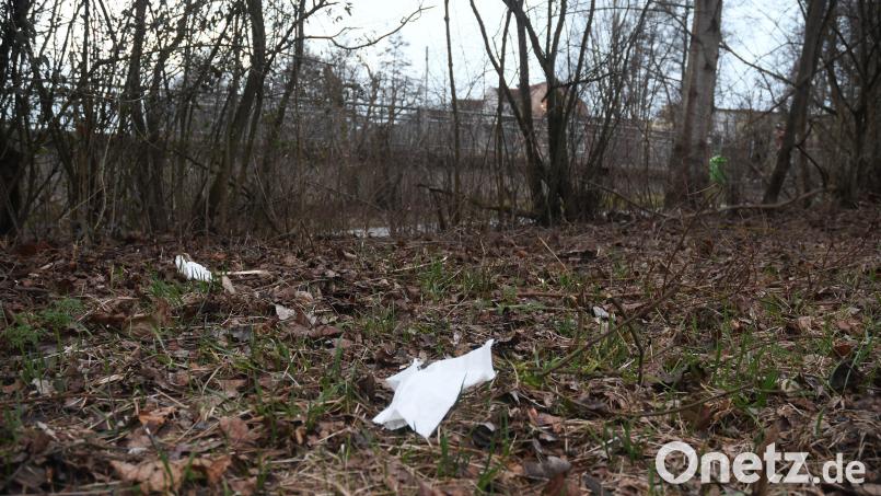Am Flutkanal bei der Fischerhütte verrichten Spaziergänger oder Jogger ihre Notdurft und lassen die benutzten Papiertaschentücher zurück. Bild: Gabi Schönberger
